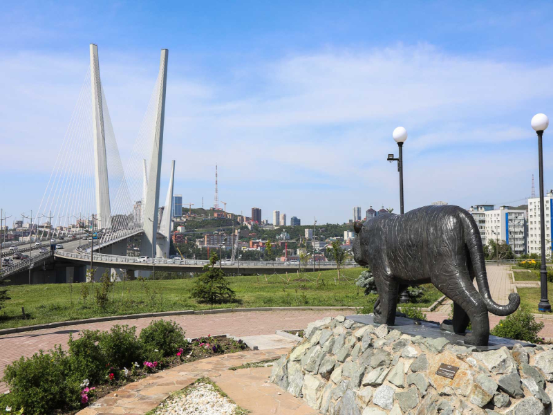 Помочь Владивостоку стать культурной столицей 2026 года могут жители Приморья, сообщает  www.primorsky.ru.