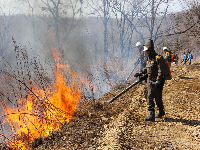Губернатор Приморья поручил усилить подготовку к пожароопасному сезону.