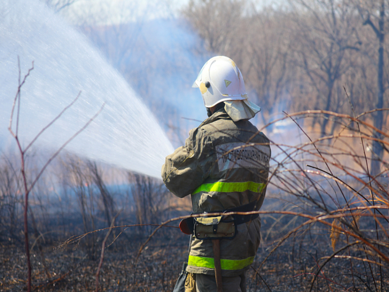 Высокая пожароопасность сохраняется в лесах Приморья.