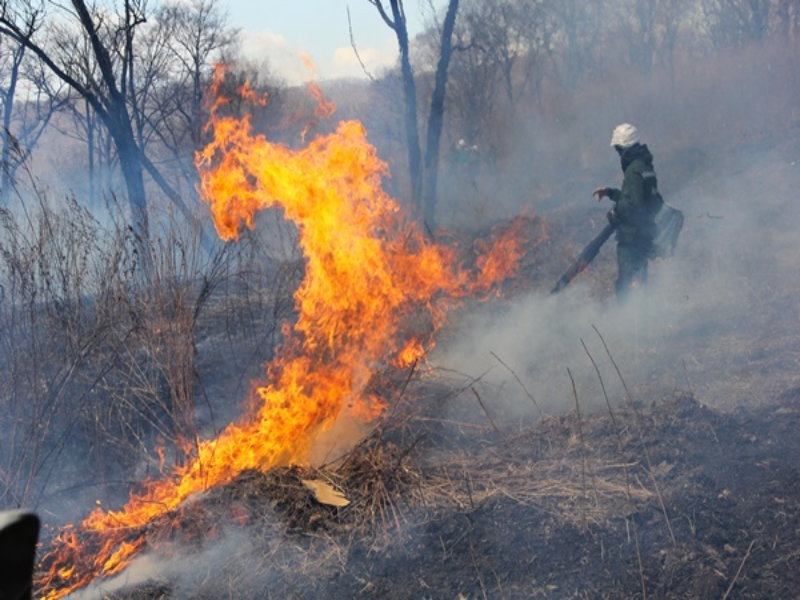 В Артемовском городском округе введен особый противопожарный режим.