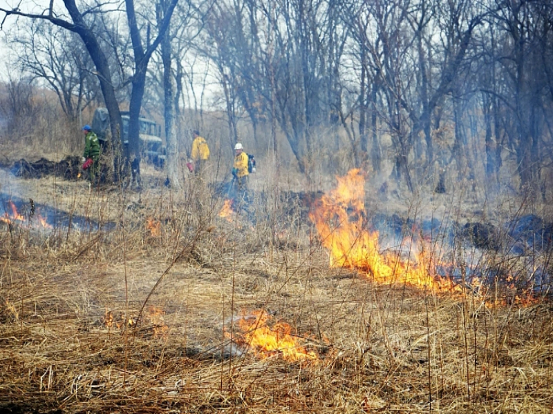 22 пожара потушили в Приморье за три дня.