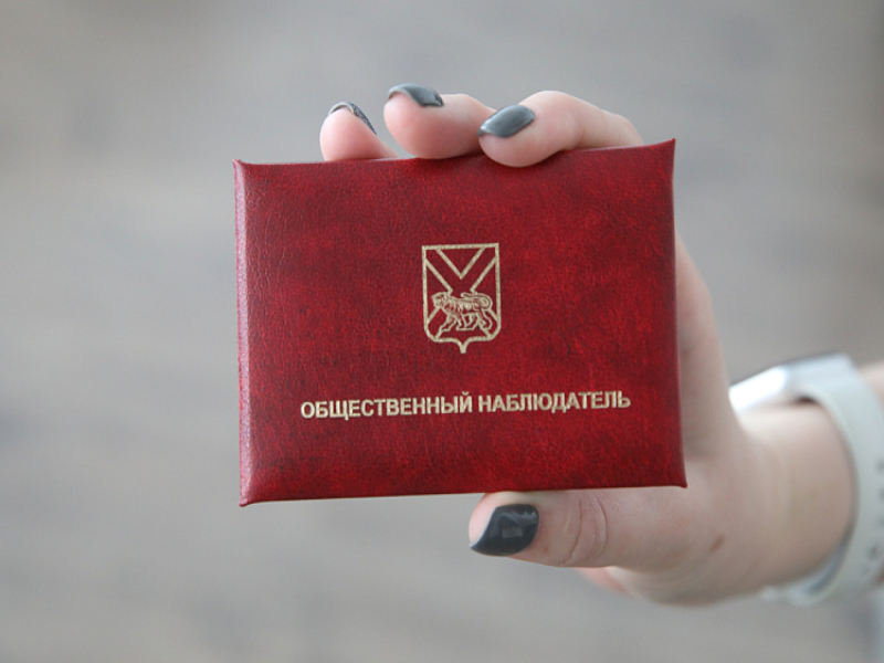 Новый набор общественных наблюдателей начался в Приморье, сообщает  www.primorsky.ru.