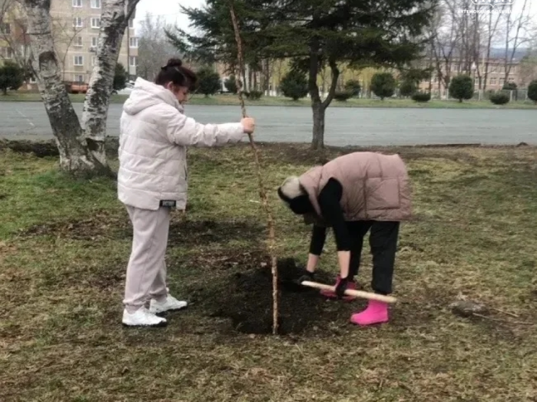 К общегородскому субботнику присоединились ТОСы и НКО.