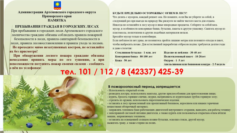 Памятка пребывания граждан в лесах.