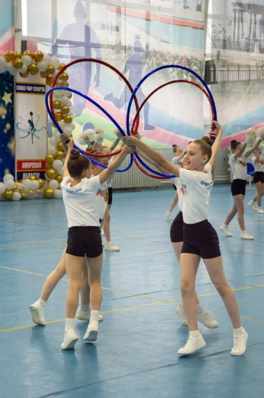 Спортсмены из Артема стали призерами фестиваля по чир спорту.