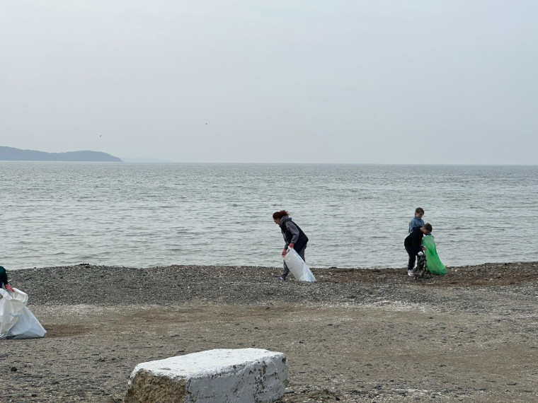 Предприниматели Артема очистили пляж бухты Амбабозы.